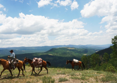 1104A832-78F8-42D3-B2D6-1B6A9AECC50D-X3