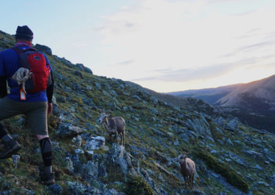 338D617D-E397-4EF2-B3D4-CDCD4F0F0E41-X3