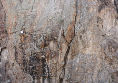 6F34E169-E1E6-4077-917D-9E1BBE77689C