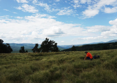 C74856CE-466E-46E9-BE10-21A0D8B6EADE-X3