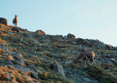 EA296174-1094-41D0-9A32-C8AE5908A9AF-X3