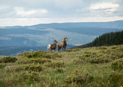 G2_WILD_PecosWilderness_RB130