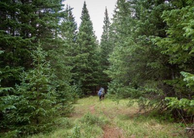 G2_WILD_PecosWilderness_RB51